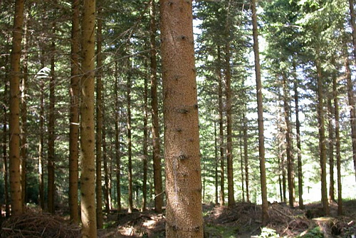 20060817_115809.JPG