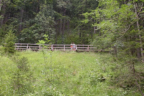 20060818_125500.JPG